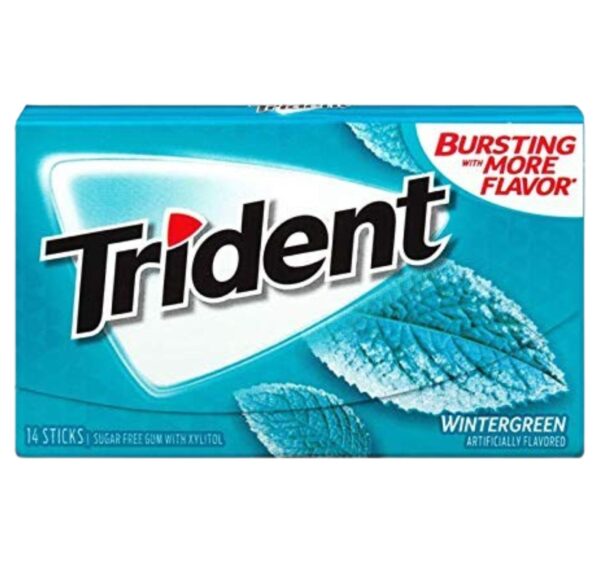 Trident Winter Green Chewing Gums