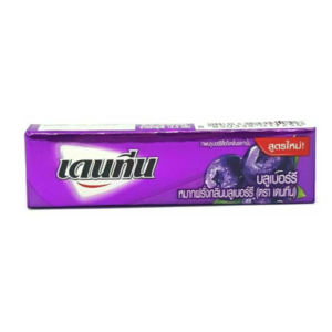 DENTYNE - Stick Gum Blueberry 5 sticks